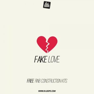 Fake Love construction kits.