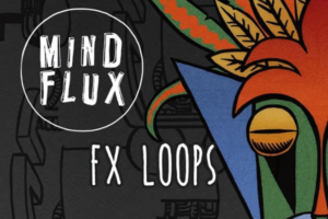 FX Loops