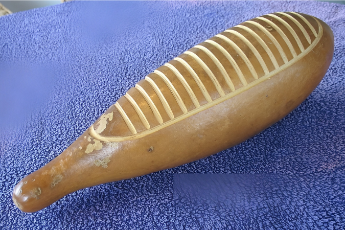 a Guiro Percussion on a blue surface