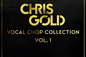 Chris Gold Vocal Chop Collection Vol. 1