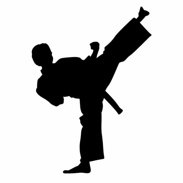 A silhouette of a person performing a karate kick-Kick / Hit SFX Collection cover