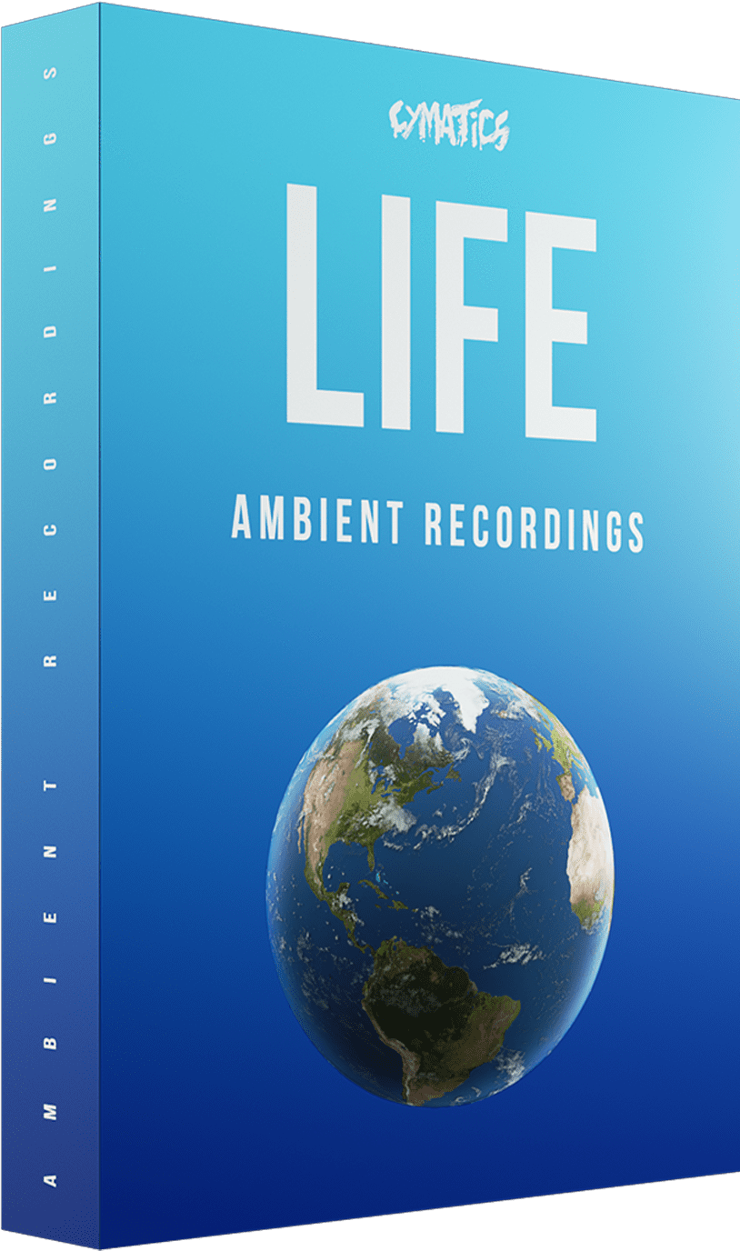 Featured image for “LIFE – Ambient Recordings Part 1”