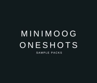 Minimoog Model D oneshots sample packs.