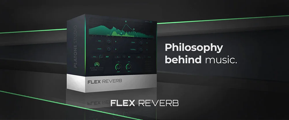 Featured image for “Flex Reverb”