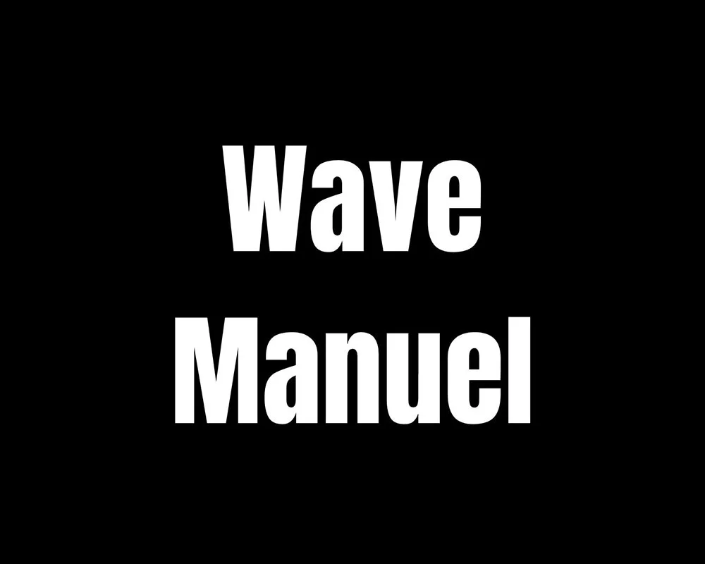 Featured image for “Wave Manuel”