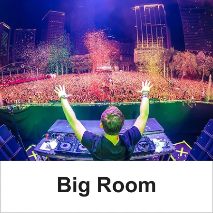 Free Big Room House Samples