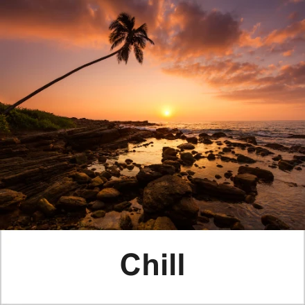 Free Chill Samples
