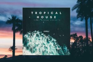 Tropical House Presets for Xfer Serum