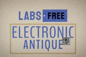 Electronic Antique